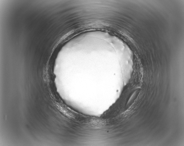 X0000067871026200605041802