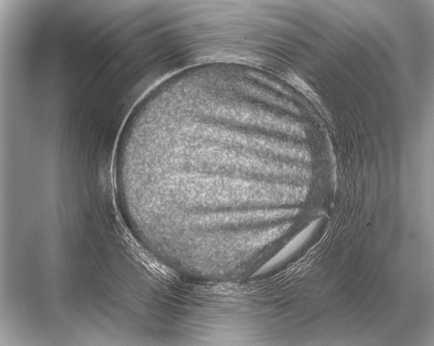 X0000067871028200605041802