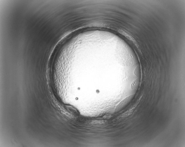 X0000067871029200605041802