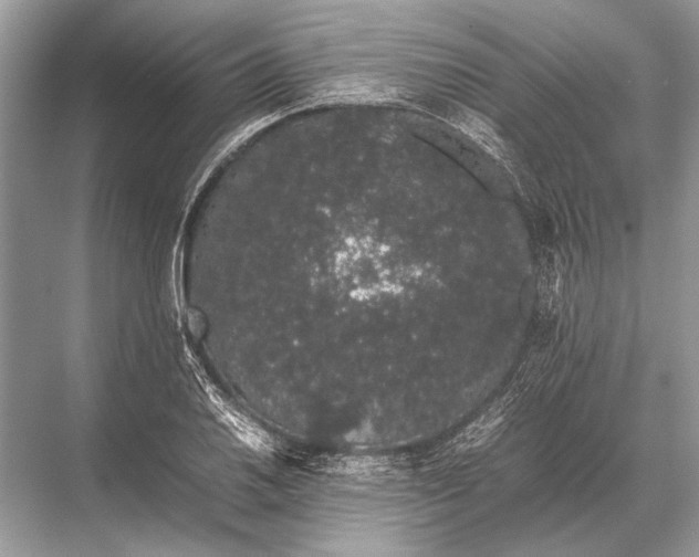 X0000067871030200605041802