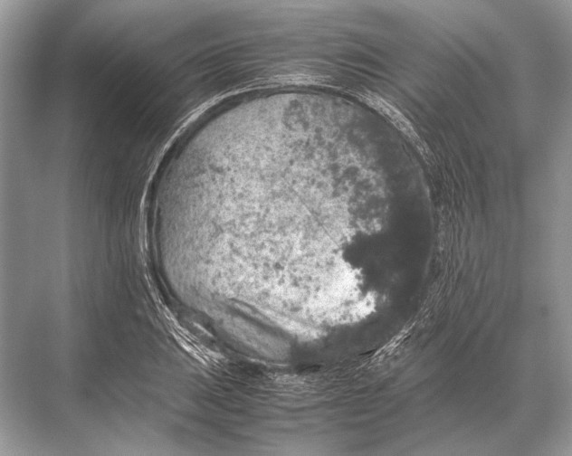 X0000067871031200605041802