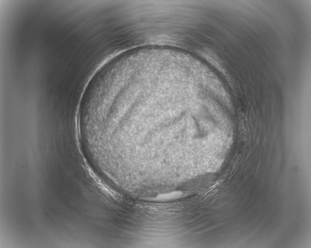 X0000067871032200605041802