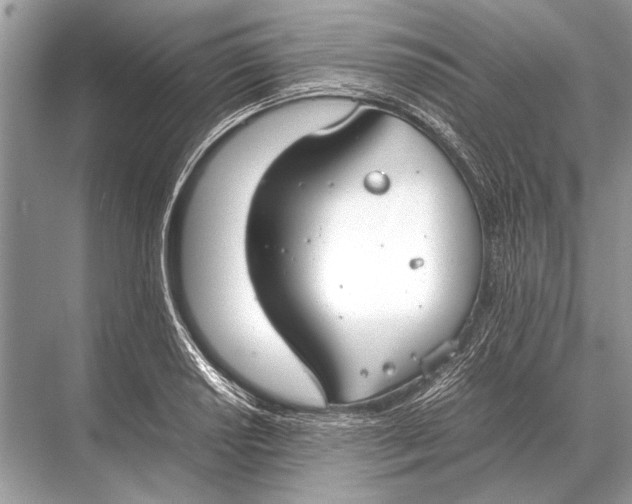 X0000067871034200605041802