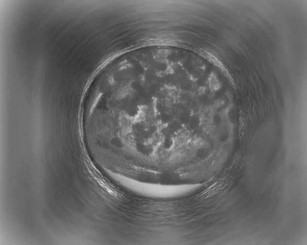 X0000067871035200605041802