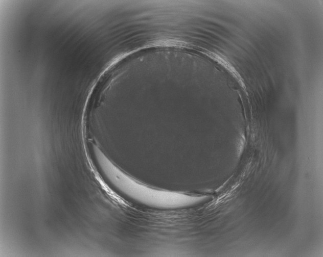 X0000067871037200605041802