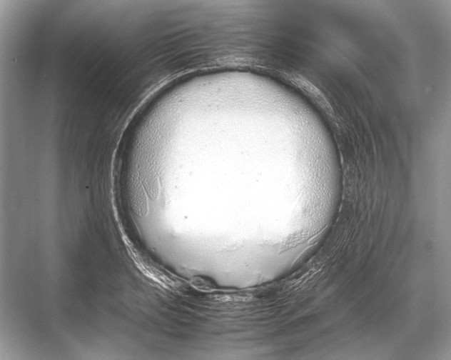 X0000067871039200605041802