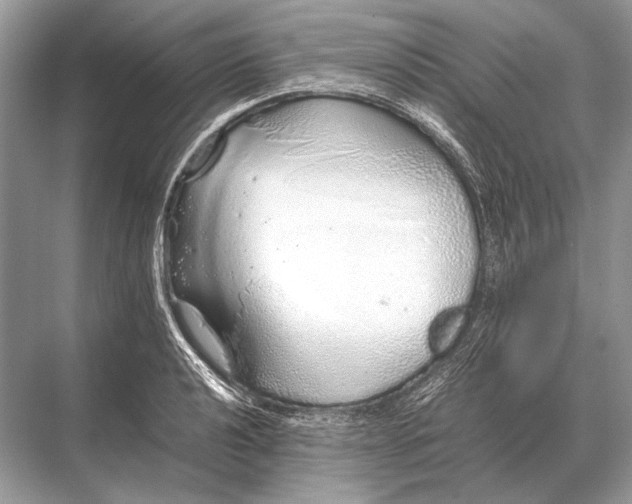 X0000067871040200605041802