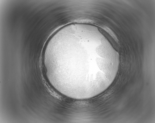 X0000067871044200605041802