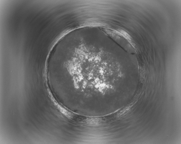 X0000067871046200605041802