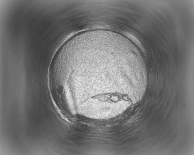 X0000067871047200605041802