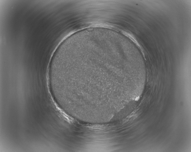 X0000067871048200605041802