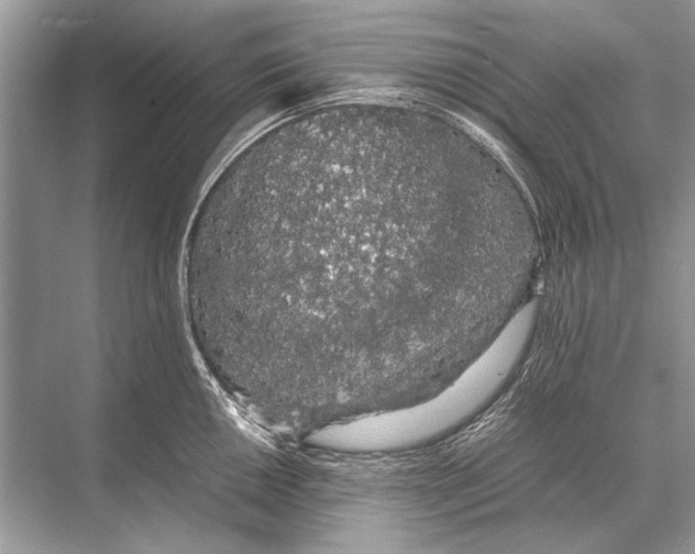 X0000067871050200605041802