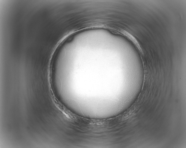 X0000067871051200605041802