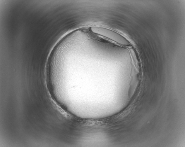 X0000067871056200605041802