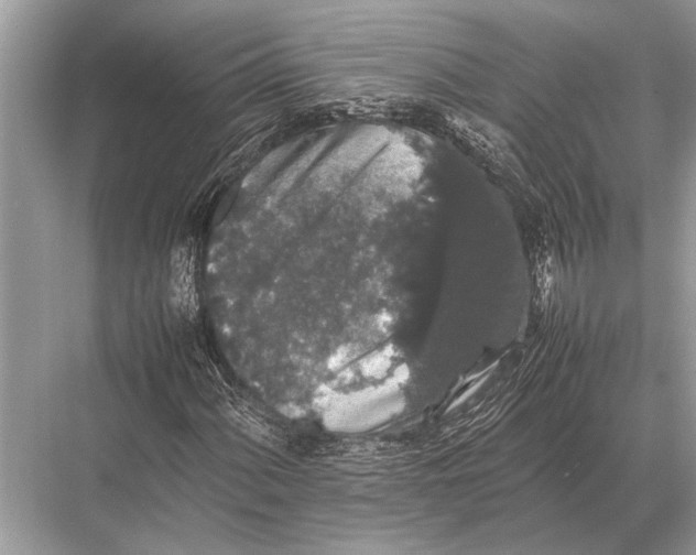 X0000067871060200605041801