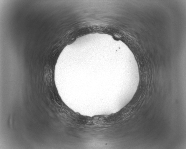 X0000067871061200605041801