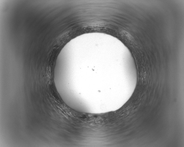 X0000067871062200605041801