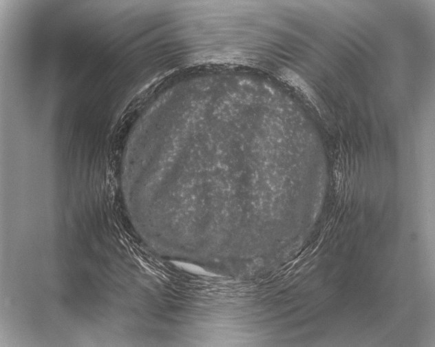 X0000067871064200605041801