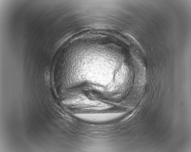 X0000067871065200605041801