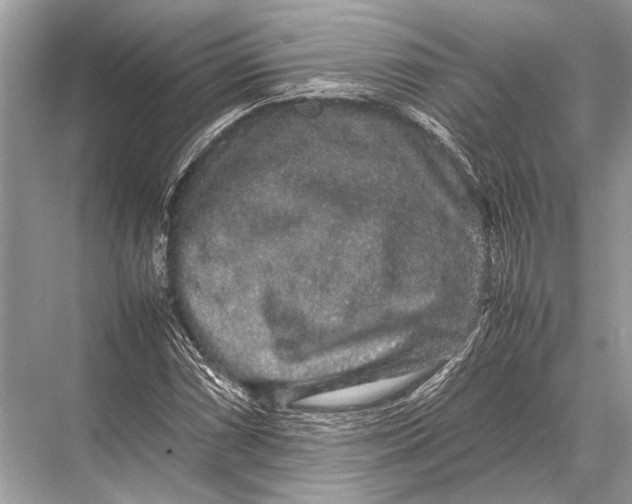 X0000067871066200605041801