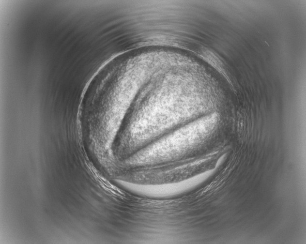 X0000067871068200605041801