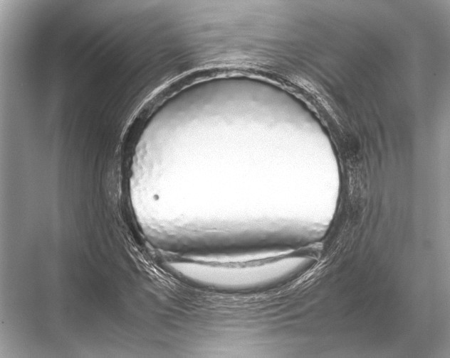 X0000067871069200605041801