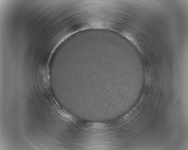 X0000067871070200605041801