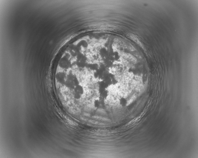 X0000067871071200605041801