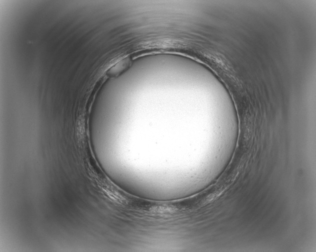 X0000067871073200605041801