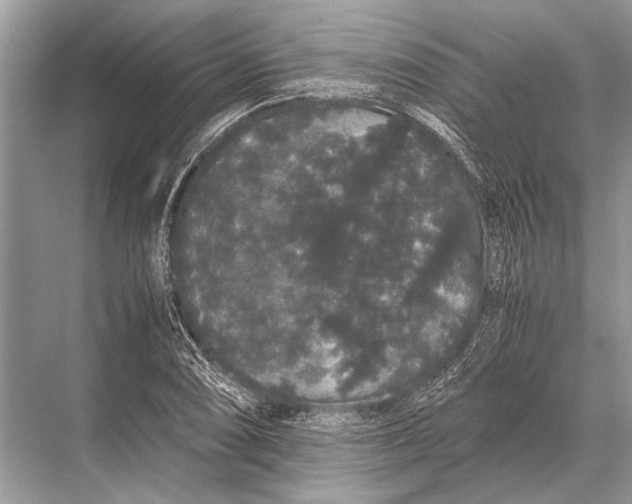 X0000067871074200605041801