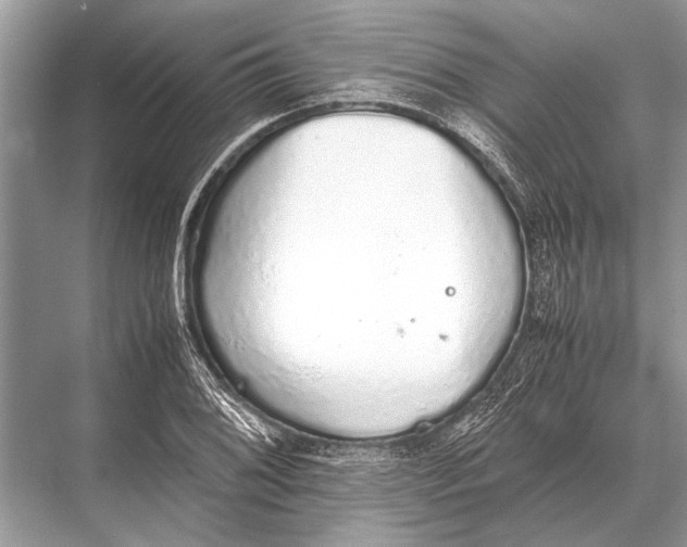 X0000067871076200605041801