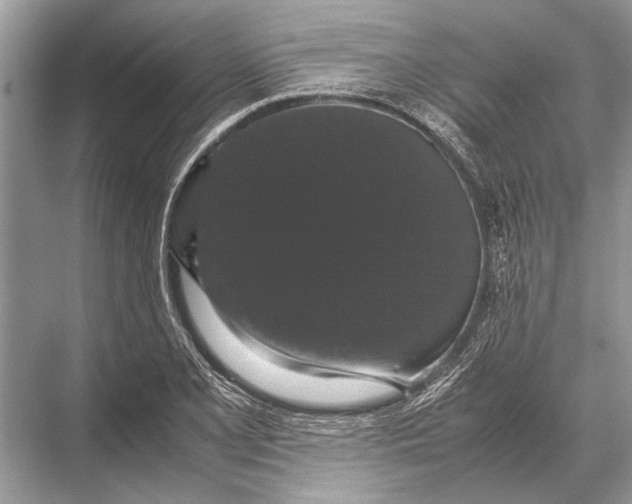 X0000067871077200605041801