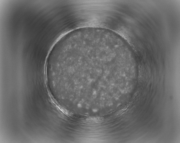 X0000067871078200605041801