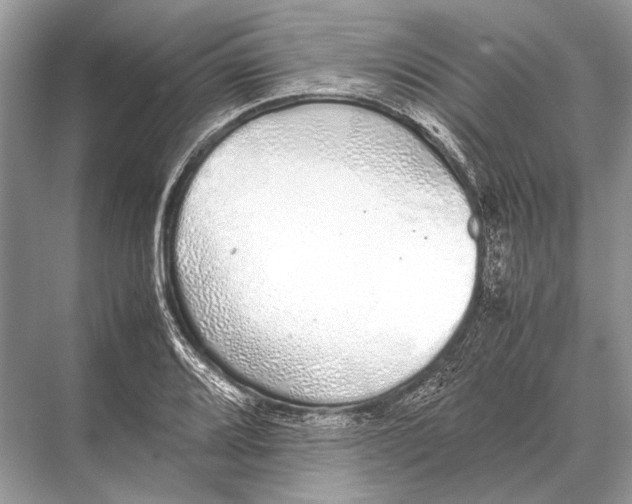 X0000067871080200605041801