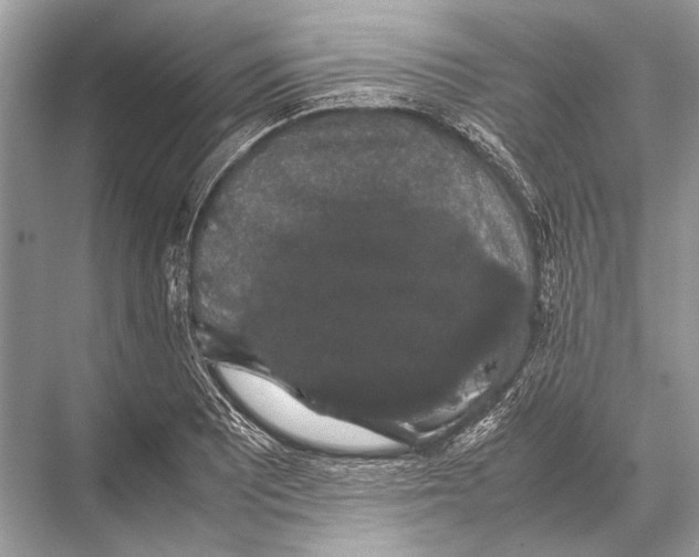 X0000067871081200605041801