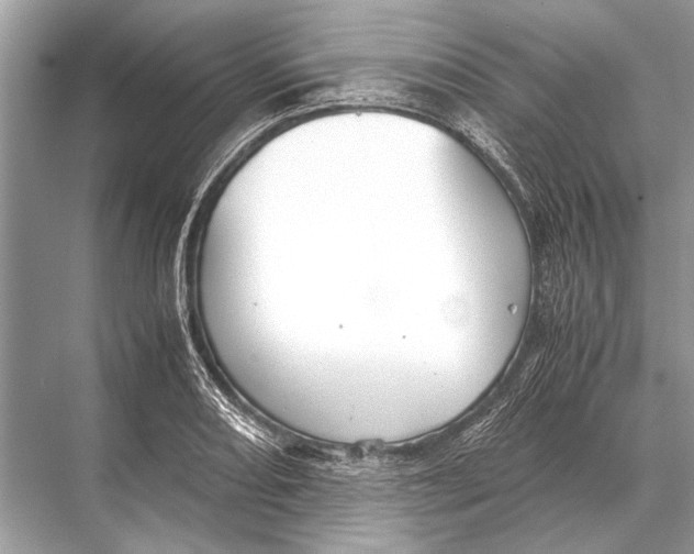 X0000067871082200605041801