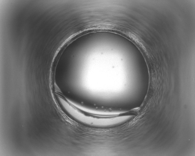 X0000067871085200605041801