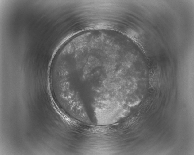 X0000067871086200605041801