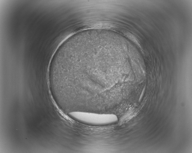 X0000067871087200605041801