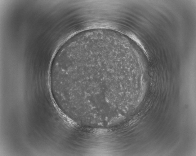 X0000067871088200605041801