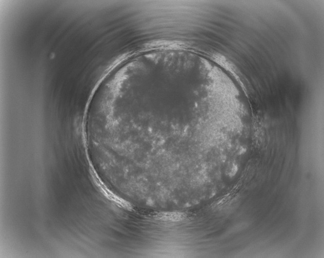 X0000067871090200605041801