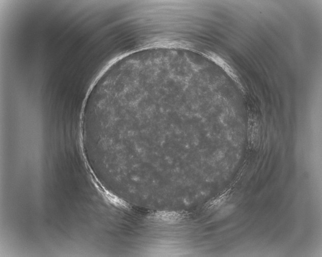 X0000067871094200605041801