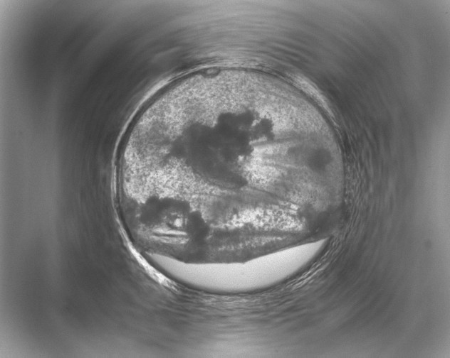 X0000067871095200605041801