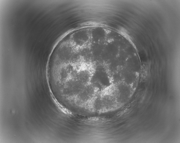 X0000067871098200605041801