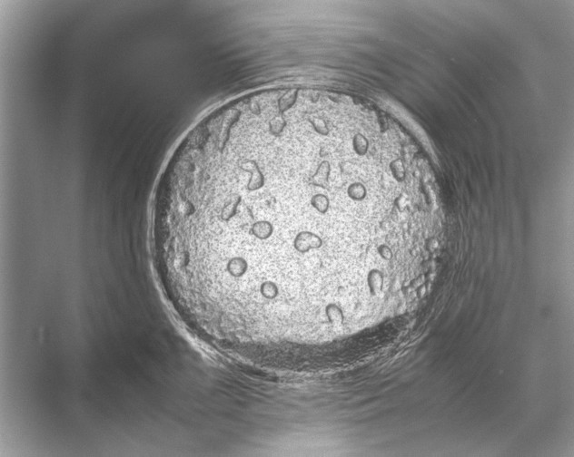 X0000067871099200605041801