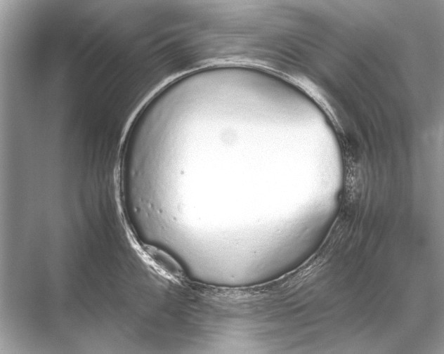 X0000067871100200605041801