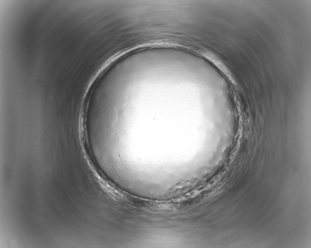 X0000067871101200605041801