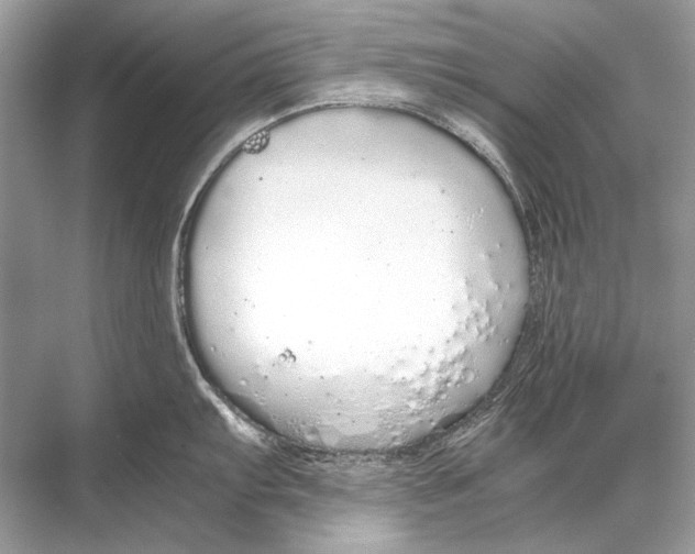 X0000067871103200605041801