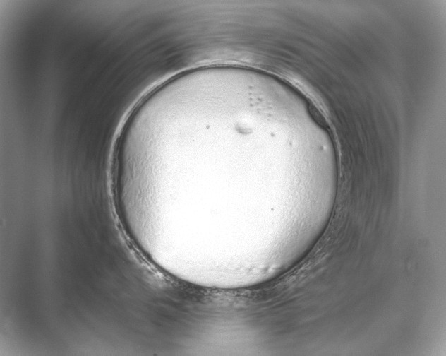 X0000067871104200605041801