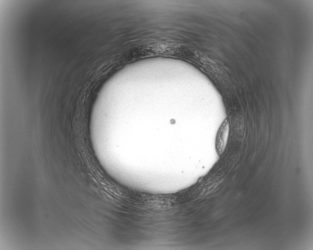 X0000067871105200605041800